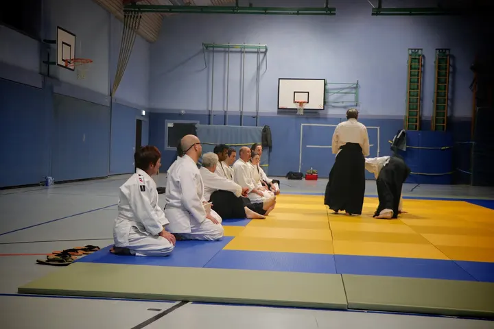Tendoryu Aikido Plombières — Kampfsport in Burtscheid, Aachen