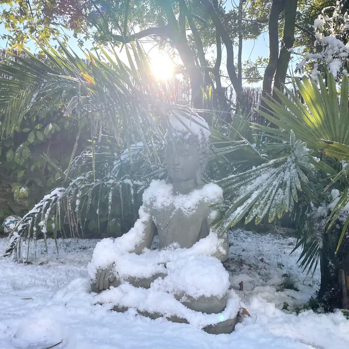 Au Coeur du Prana — Yoga à Toutes-Aides, Nantes