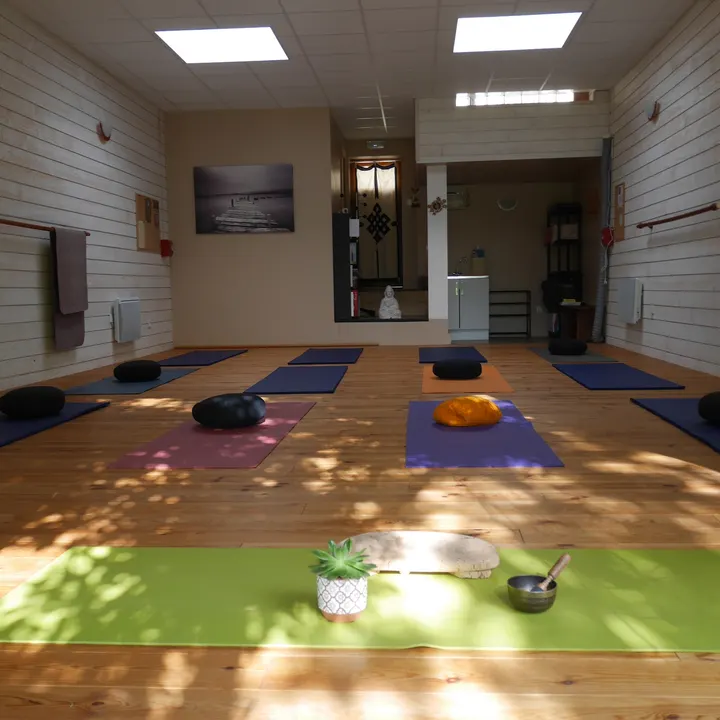 Yoga Tolosa — yoga-studio à Côte Pavée, Toulouse — 3