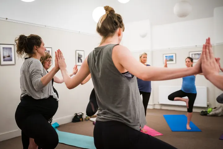 Joey Yoga - Elephant House — Yoga in Southville, Bristol
