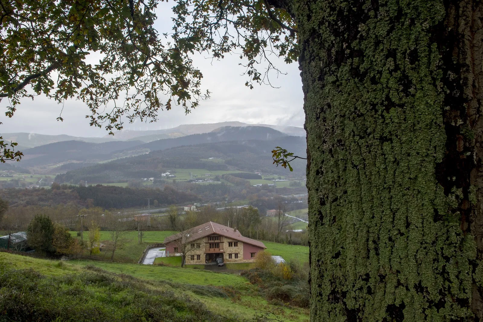 La Casa de Marina - Retiros de meditación — meditación-studio en Bernagoitia — 4