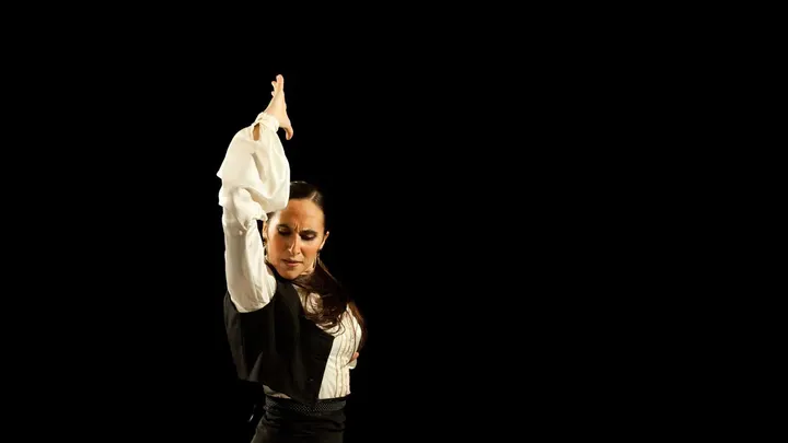 Irene La Serranilla Flamenco — baile-studio en Granada — 3