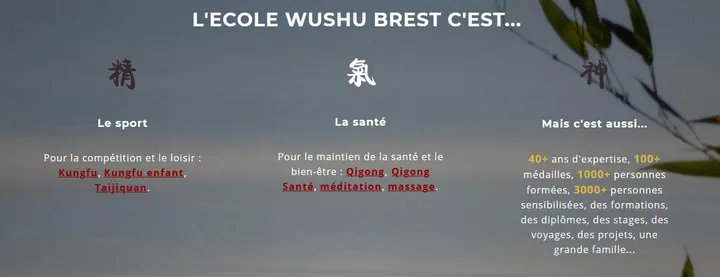 Ecole Wushu Brest — arts martiaux-studio à Brest — 5