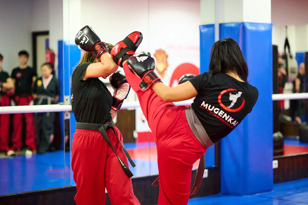Escuela de Artes Marciales y Defensa Personal Mugenkai Bilbao — kampsport-studio i Bilbao — bild 6