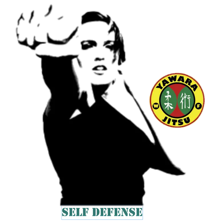 Yawara Jitsu Contact — bjj-studio en Alameda de Osuna, Madrid — 2