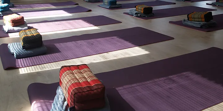 Shama Yoga Estudio — yoga-studio en Vitoria-Gasteiz — 3