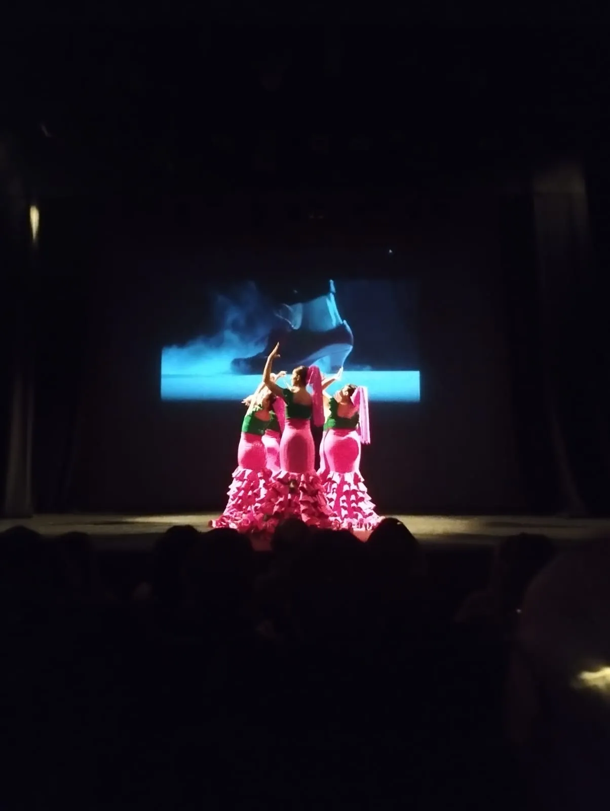 Arte Roji Escuela Danza — baile-studio en Laguna de Duero — 3