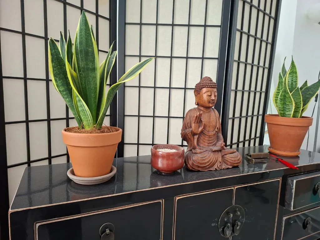 On Hung Martial Arts — kampsport-studio i Köln — 2