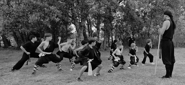 LUAN Arts Martiaux Kung-fu — arts martiaux-studio à Lotissement Les Jardins d'en Cezat, Pollestres — 3