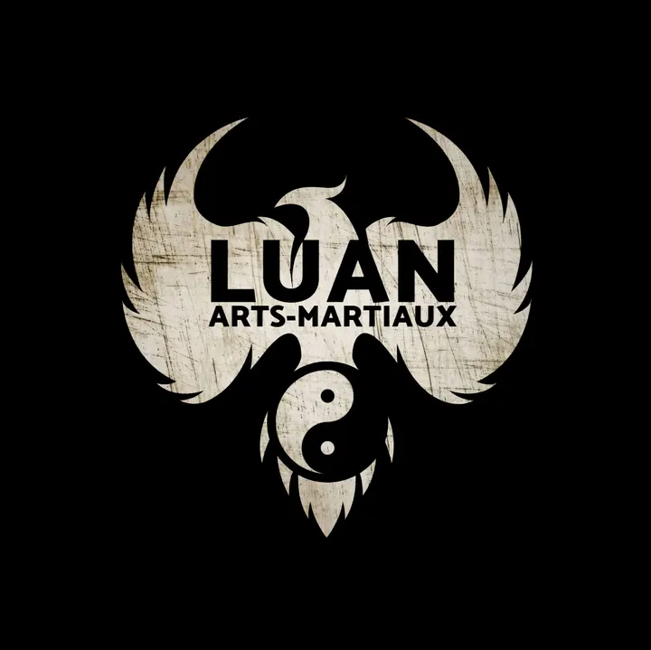 LUAN Arts Martiaux Kung-fu — arts martiaux-studio à Pollestres — 3