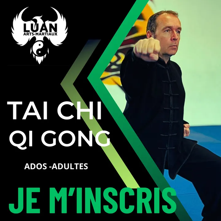 LUAN Arts Martiaux Kung-fu — arts martiaux-studio à Pollestres — 5