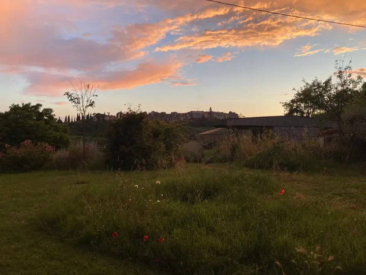 Mindfulness per tutti — meditazione-studio a Flaminio, Roma — 3