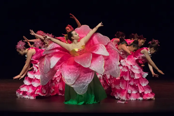 Escuela De Danza Ana Serna — baile-studio en Miravalles, Torrelavega — 2