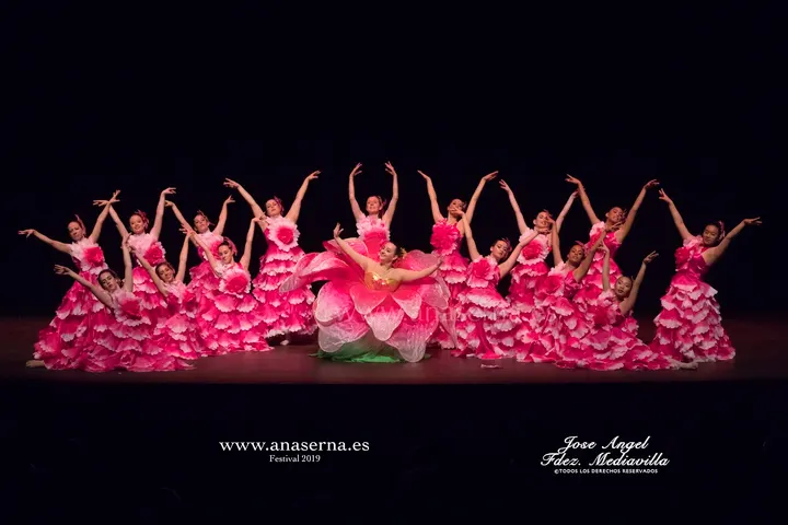 Escuela De Danza Ana Serna — baile-studio en Miravalles, Torrelavega — 3