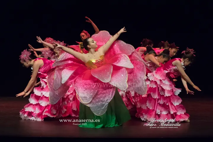 Escuela De Danza Ana Serna — baile-studio en Torrelavega — 3