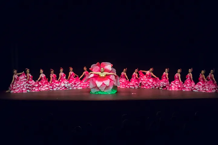 Escuela De Danza Ana Serna — Baile en Miravalles, Torrelavega