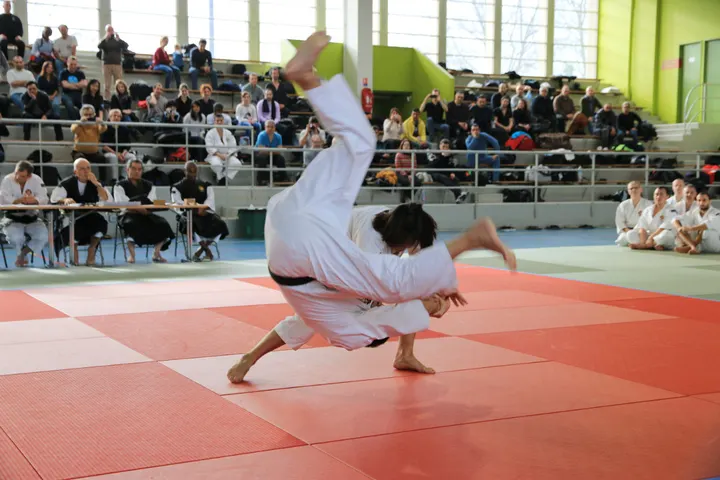 Shorinji Kempo Marseille — Arts martiaux à 8e Arrondissement, Marseille