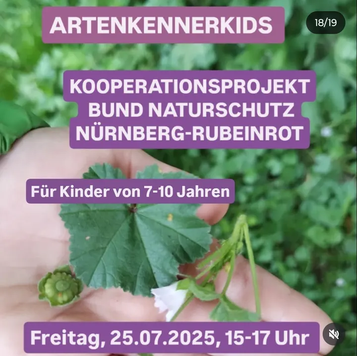 Rubeinrot Wildkräuter — yoga-studio in Nürnberg — 3
