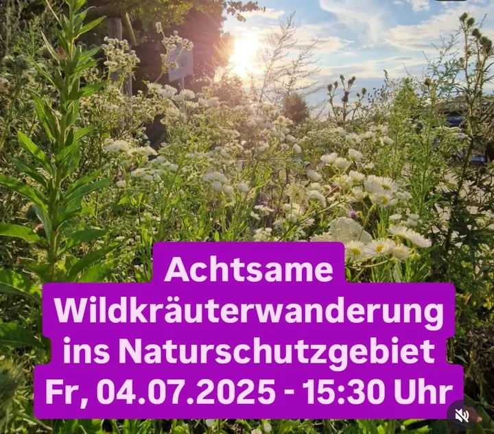 Rubeinrot Wildkräuter — yoga-studio in Nürnberg — 4