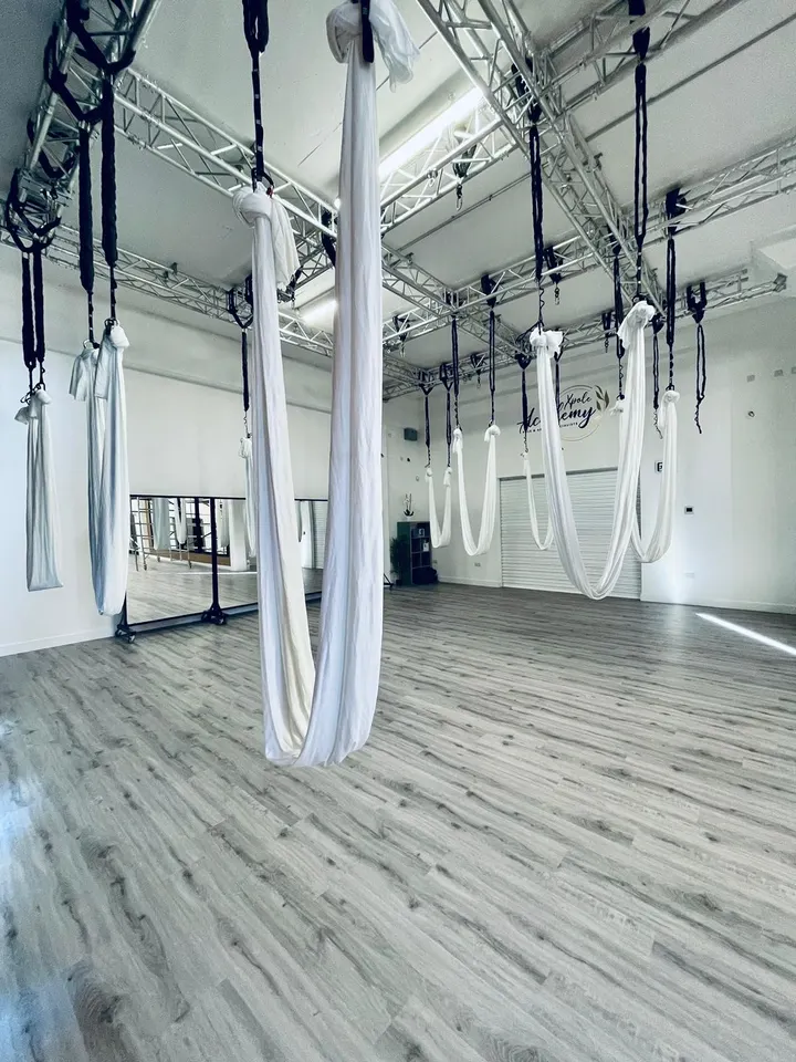 X-POLE Academy — aerial-studio in Potters Bar — 3