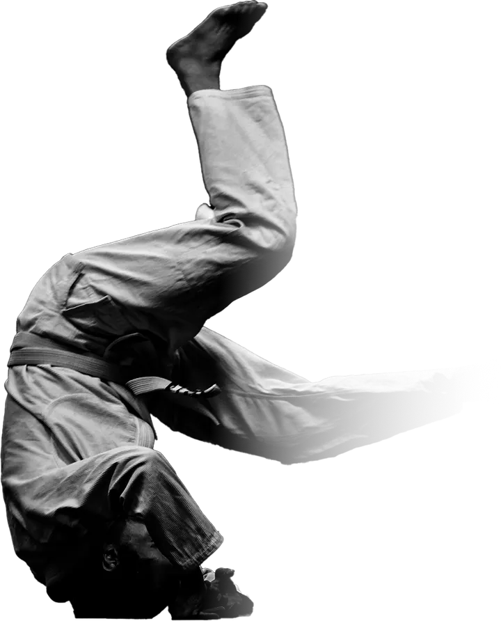 Allstars Training Center — martial arts-studio in Solna, Stockholm — 2