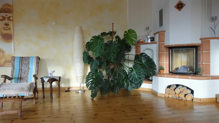 Sport Aktiv Kellinghusen — fitnessstudio in Kellinghusen — 5