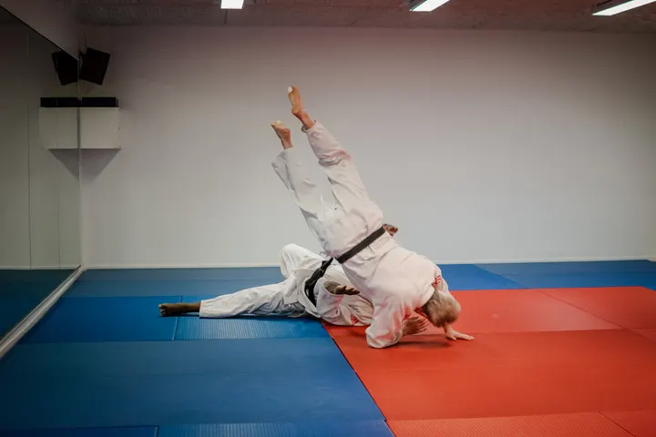 Judo Club Alésia — arts martiaux-studio à Paris 14e Arrondissement, Paris — 2