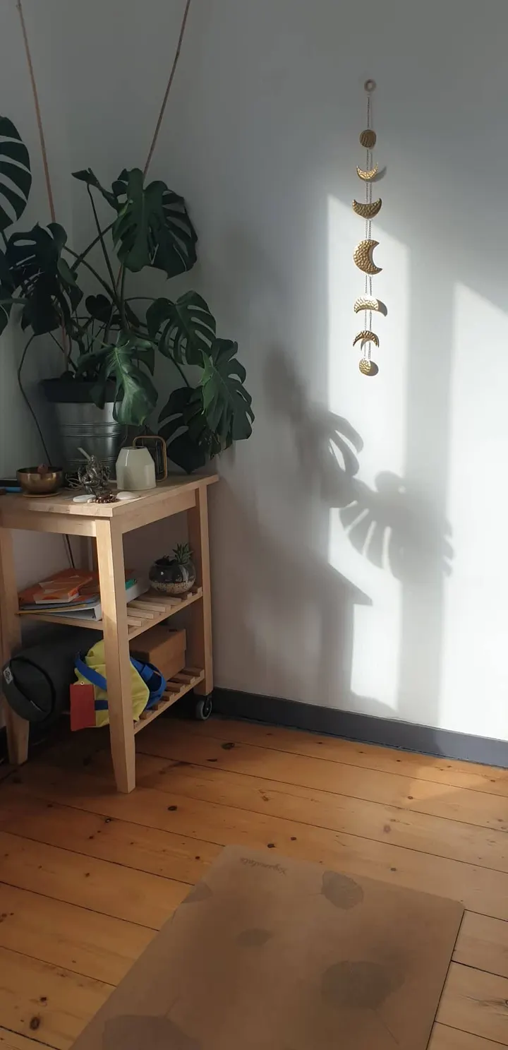 Yoganesha — yoga-studio à Lille — 2