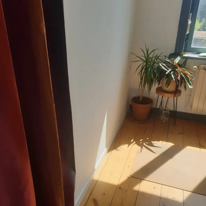 Yoganesha — yoga-studio à Lille — 3