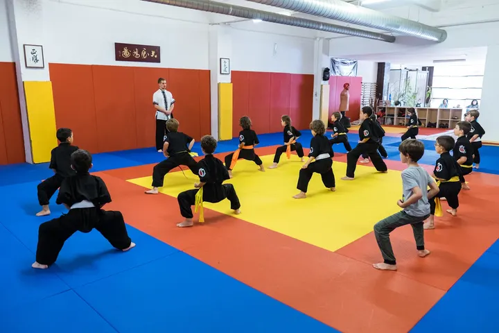 STM-CLUB ECOLE DE KUNG-FU — arts martiaux-studio à Montpellier — 3