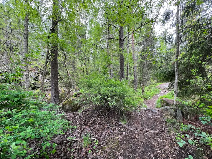 Ekstubbeberget — klättring-studio i Älta — 3