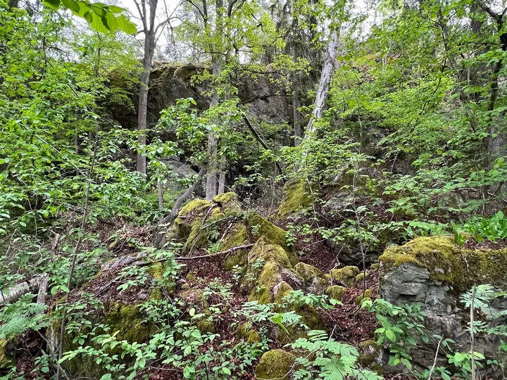 Ekstubbeberget — klättring-studio i Älta — 3