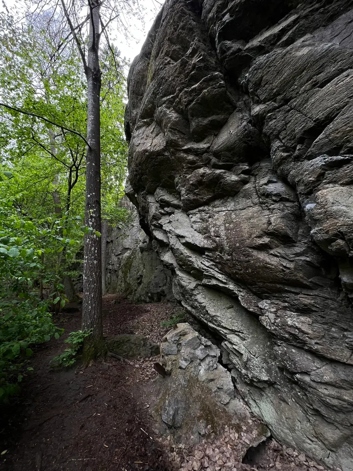 Ekstubbeberget — klättring-studio i Älta — 4