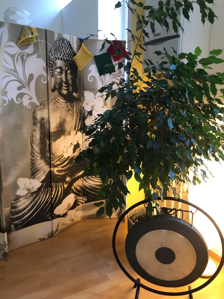 Chântra - Méditation par le son - Sonothérapie - Massage Sonore - Rééquilibrage — Méditation à Rebberg, Mulhouse
