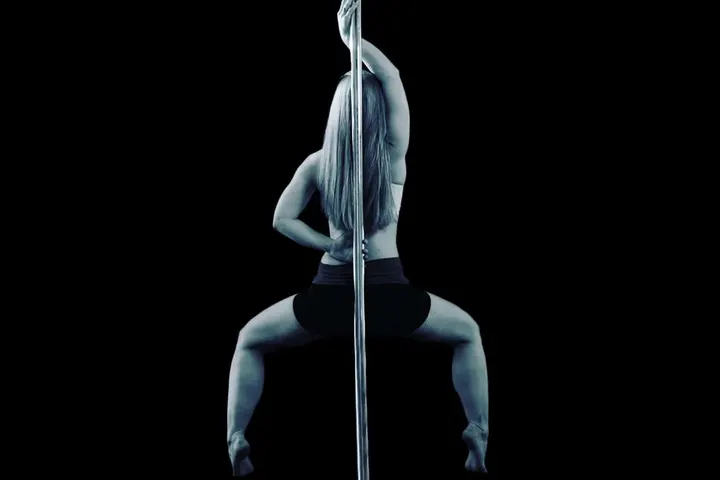 Pole Moves Sportief paaldansen — Pole fitness in Johannes Geradtswegbuurt, Hilversum
