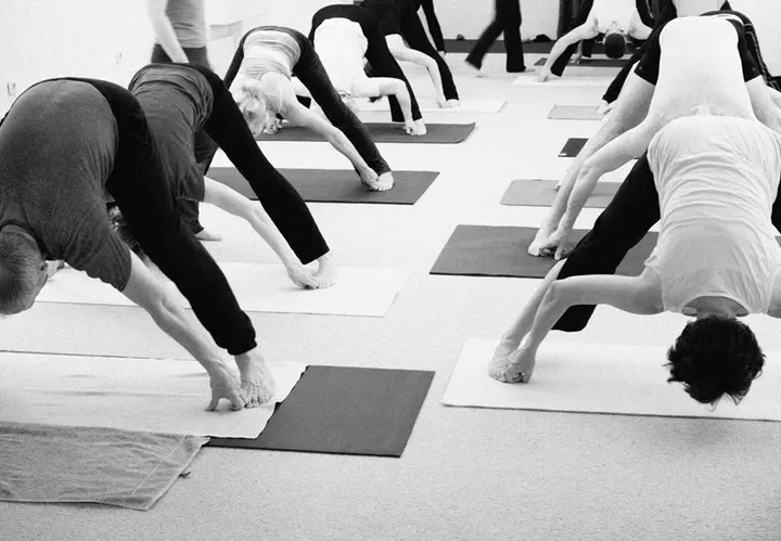 Yogamala — yoga-studio in Wüste, Osnabrück — 3