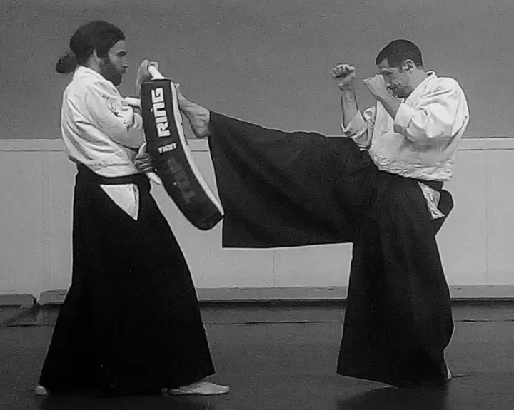 AIKIBUDO FIRENZE — arti marziali-studio a Scandicci — 3
