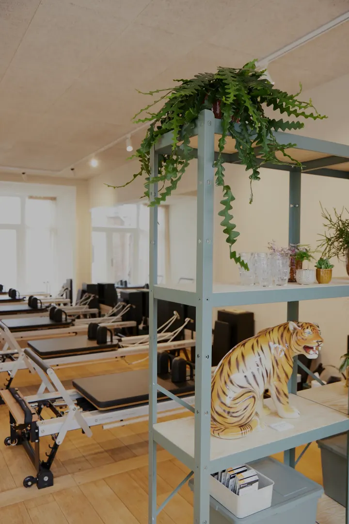 HagueGym Reformer Pilates — Pilates in Segbroek, Den Haag