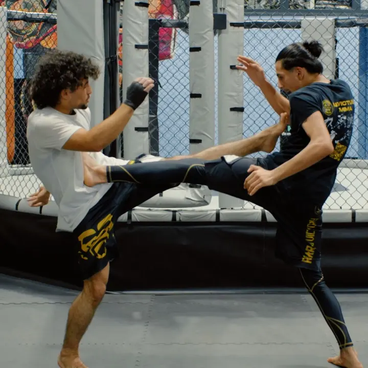 Invictus Mma — mma-studio in London — 5