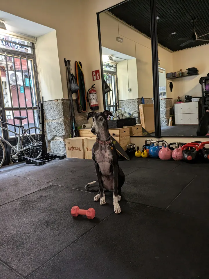 Soho Studio Training — estudio de fitness-studio en Madrid — 4