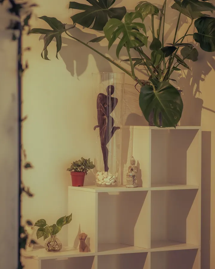 Brumi's Pole Studio — Pole fitness à Toulouse