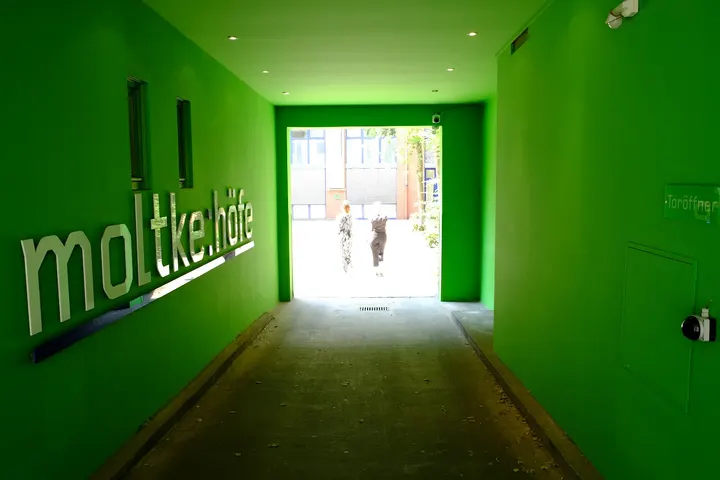 YOGAJI Iyengar Zentrum — yoga-studio in Köln — 4