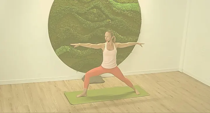 Ánimo Bienestar — yoga-studio en Madrid — 3