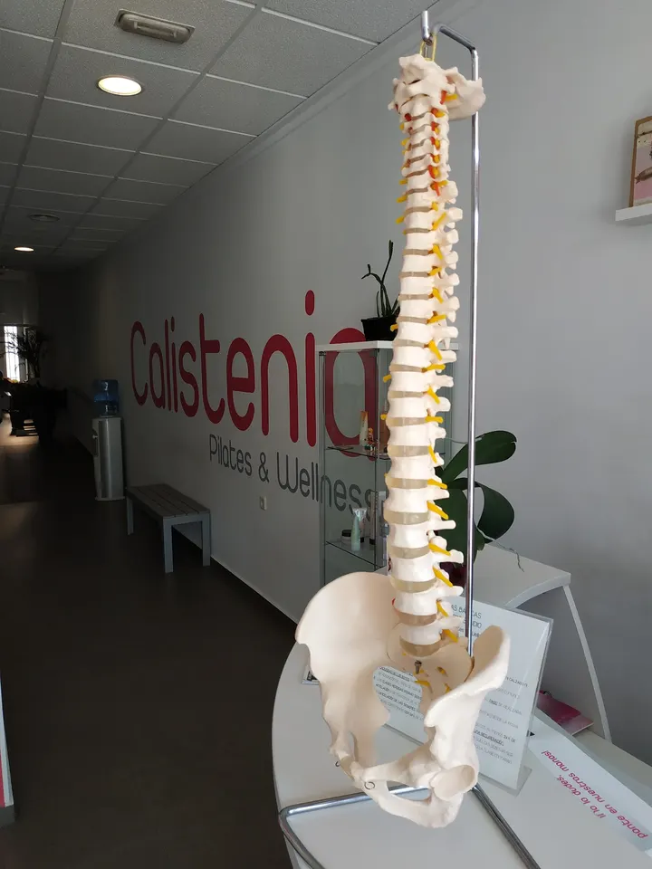 Calistenia Pilates & Wellness — pilates-studio en Hermanos Falcó, Albacete — 2