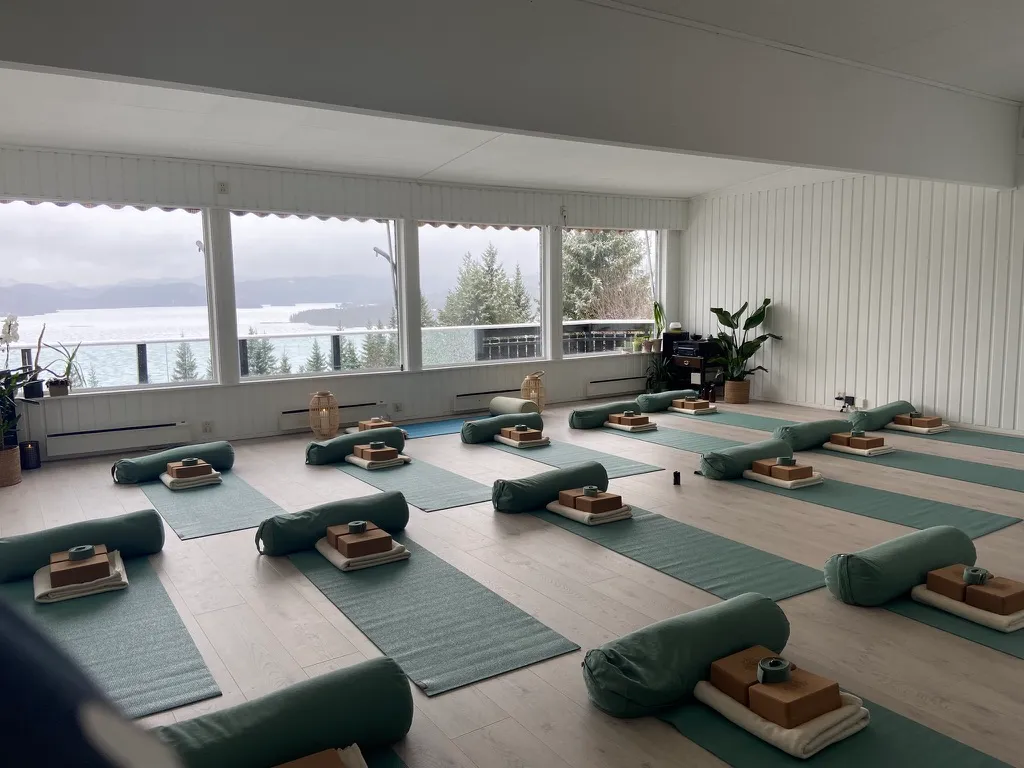 Alive Yoga — yoga-studio i Buvika — 2