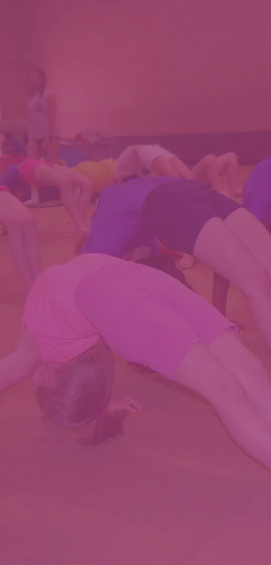 Grundy Park Gymnastics — gymnastics-studio in Maldon — 5