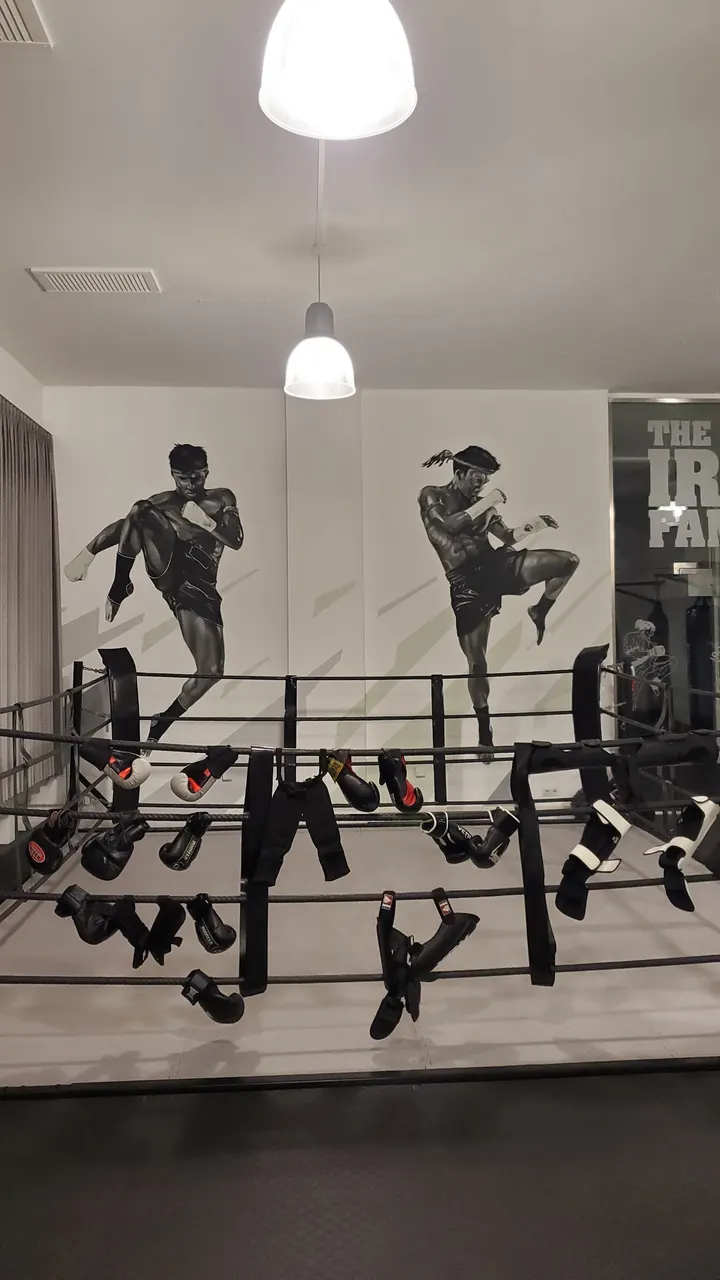 Muay Thai Koblenz e.V. — muay thai-studio in Metternich, Koblenz — 3