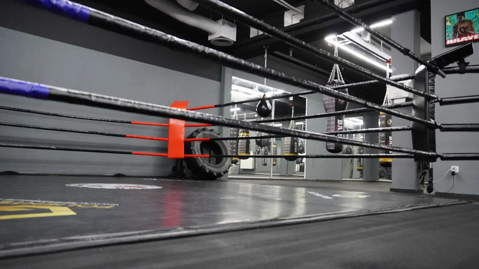 Bars Kampfsportakademie — kampsport-studio i Stuttgart — 5