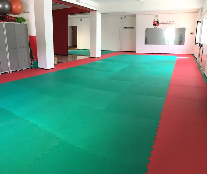 Dai-Ki Dojo Jiu Jitsu — Arti marziali a Borgo-Sanzio, Catania