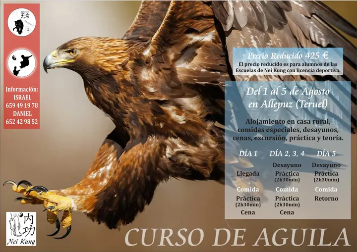 Asociación Nei Kung el Pilar — artes marciales-studio en el Pilar, Valencia — 3